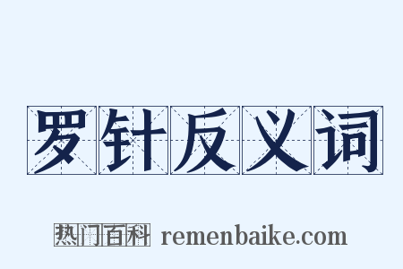 罗针反义词是什么意思的图片